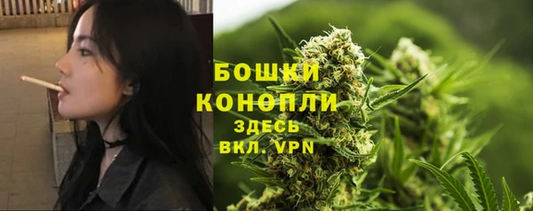прущий лед Инта