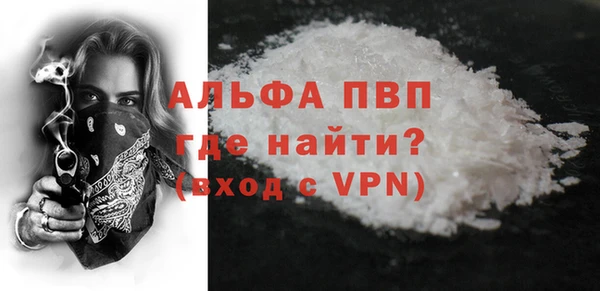 шишки Инсар