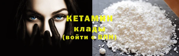 шишки Инсар