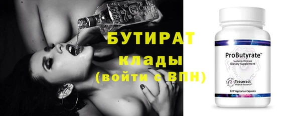 шишки Инсар