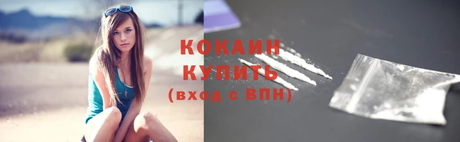 apvp Иннополис
