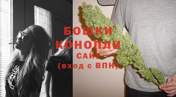 шишки Инсар