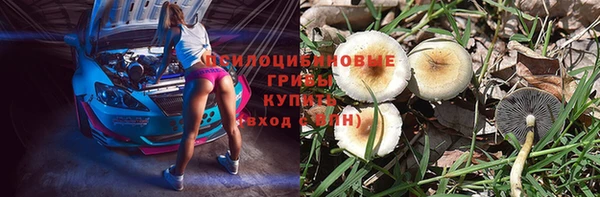 прущий лед Инта