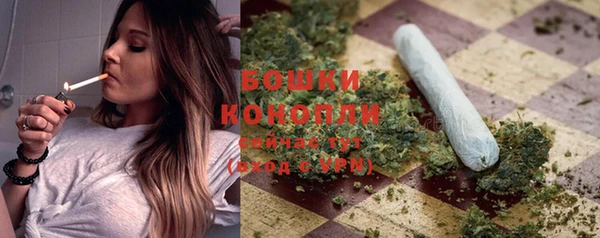 apvp Иннополис