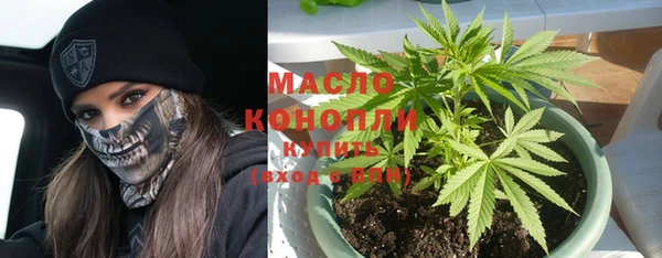 apvp Иннополис
