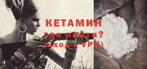 шишки Инсар