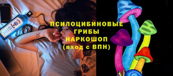apvp Иннополис
