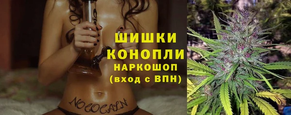 прущий лед Инта