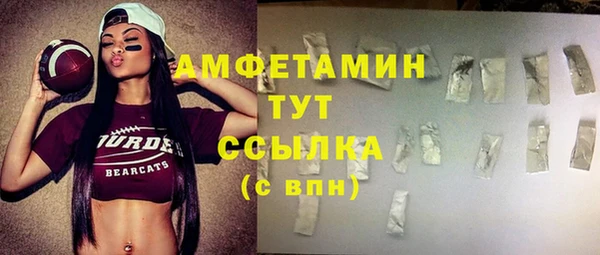 шишки Инсар